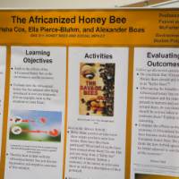 A student project poster on display about honey bees.